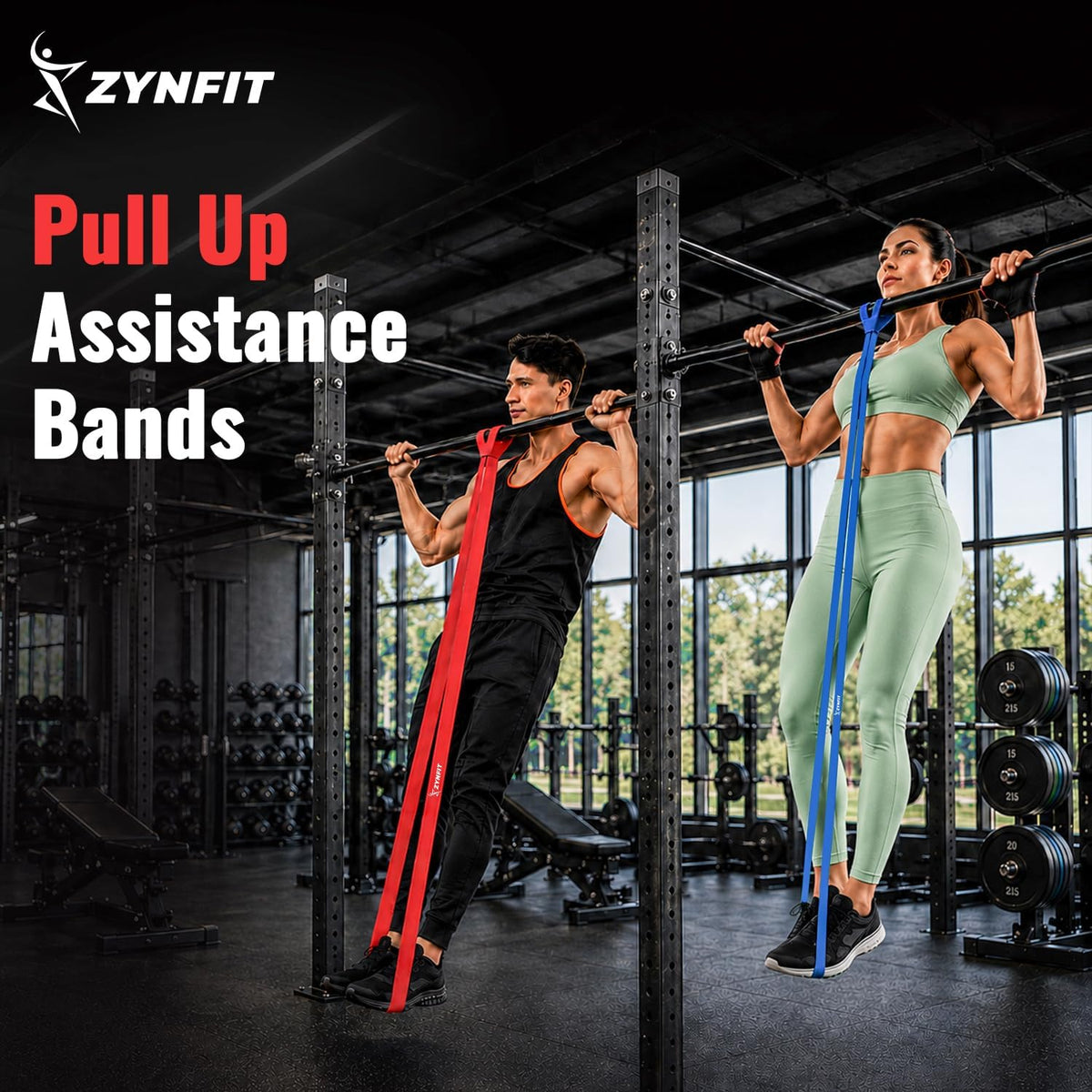 Pull Up Bands, Resistance Bands Set with Door Anchor, 5-Level Pull Up Assistance Bands for Working Out, Workout Bands for Home Gym