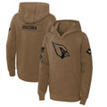 Punc A.Cardinals Brown Salute To Service Limited Hoodies Blank Player Stitched Jerseys