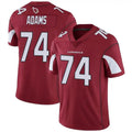 Punc A.Cardinals #74 Isaiah Adams Player Red Game Stitched Jerseys