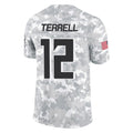 Punc A.Falcons #12 Avieon Terrell Player Arctic Camo Salute to Service Limited Stitched Jerseys