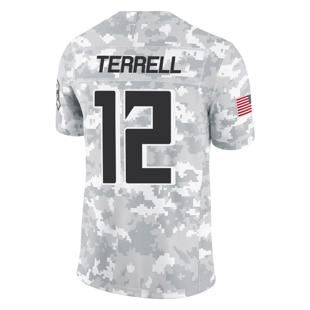 Punc A.Falcons #12 Avieon Terrell Player Arctic Camo Salute to Service Limited Stitched Jerseys