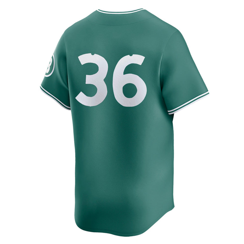 Punc B.Red Sox #36 Triston Casas Player Green City Connect Limited Home Game Stitched Jerseys