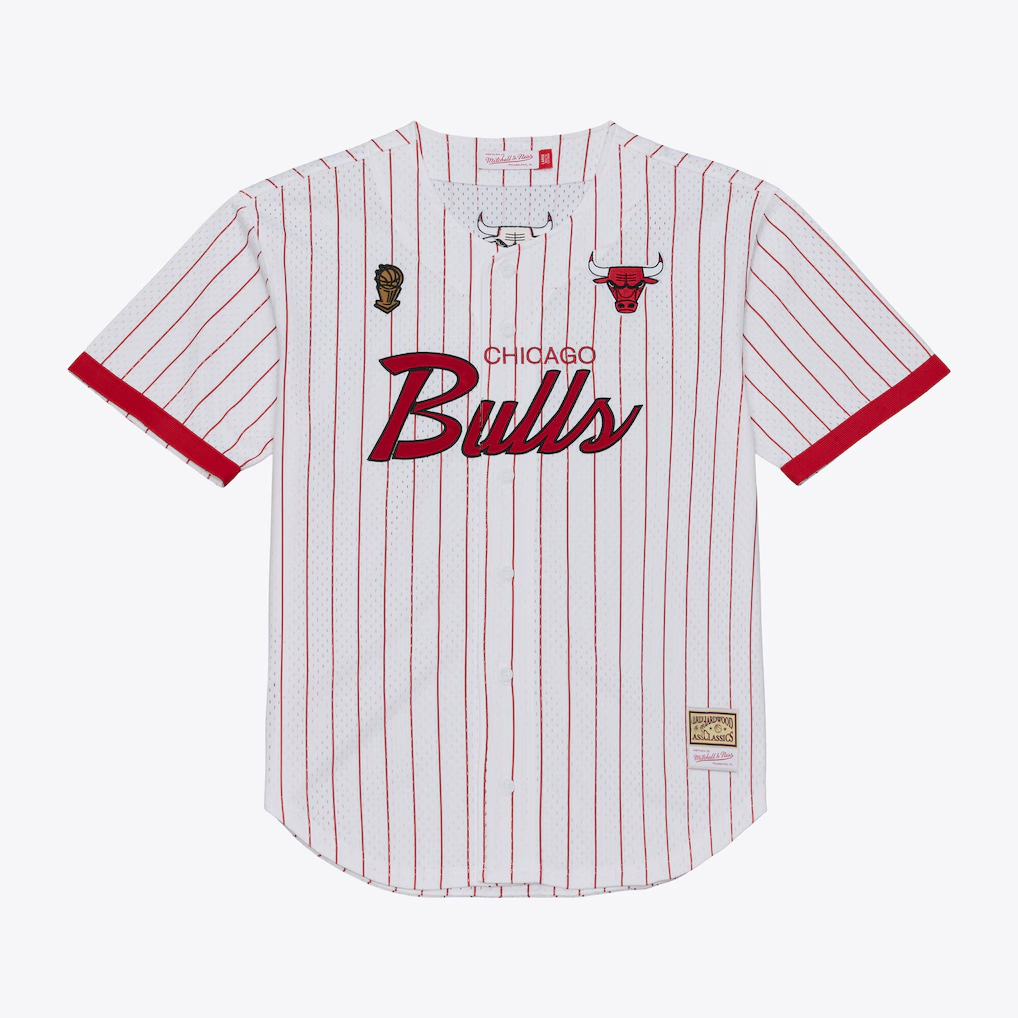 Punc C.Bulls Mitchell & Ness White Head Coach Pinstripe Mesh Full-Button Baseball Jerseys