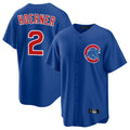 Punc C.Cubs #2 Nico Hoerner Player Royal Home Game Stitched Jerseys
