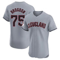Punc C.Guardians #75 Connor Brogdon Player Gray Road Limited Elite Home Stitched Jerseys