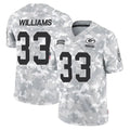 Punc GB.Packers #33 Evan Williams Player Arctic Camo Salute To Service Limited Stitched Jerseys