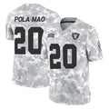 Punc LV.Raiders #20 Isaiah Pola-Mao Player Arctic Camo Salute To Service Limited Game Stitched Jerseys