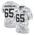 Punc LV.Raiders #65 Tyler Linderbaum Player Arctic Camo Salute To Service Limited Game Stitched Jerseys