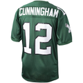 Punc P.Eagles 1992 #12 Randall Cunningham Mitchell & Ness Green Authentic Throwback Retired Player Stitched Puhic Jersey