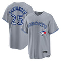 Punc T.Blue Jays #25 Anthony Santander Player Gray Home Limited Stitched Jerseys