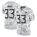 Punc T.Titans #33 Cedric Gray Player Arctic Camo Limited Salute to Service Home Game Stitched Jerseys