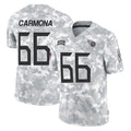 Punc T.Titans #66 Fernando Carmona Jr. Player Arctic Camo Limited Salute to Service Home Game Stitched Jerseys